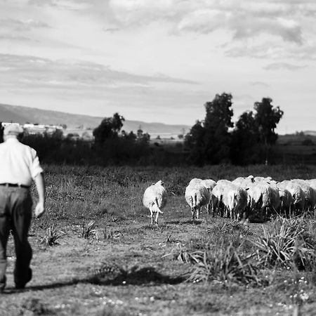 Binzas Betzas Agriturismo Sedilo Zewnętrze zdjęcie