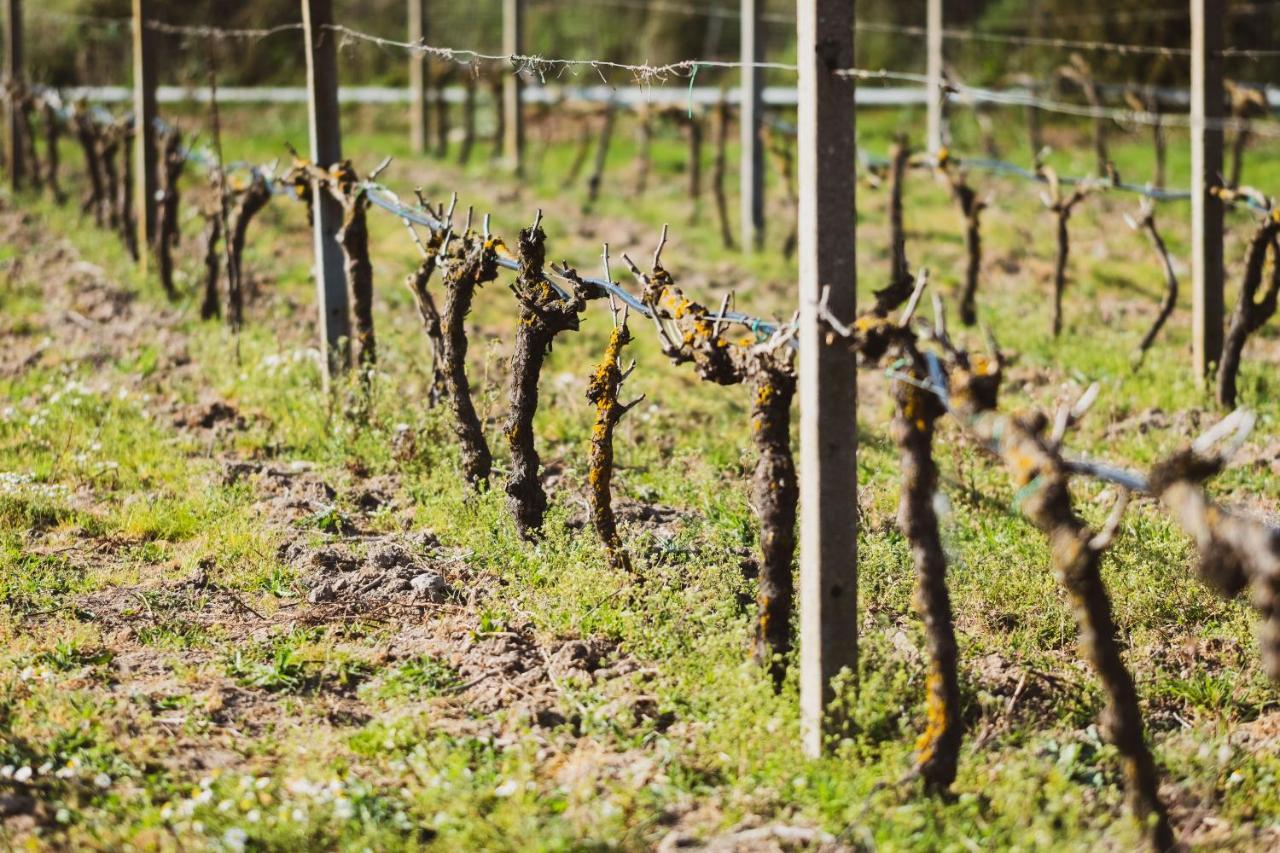 Binzas Betzas Agriturismo Sedilo Zewnętrze zdjęcie
