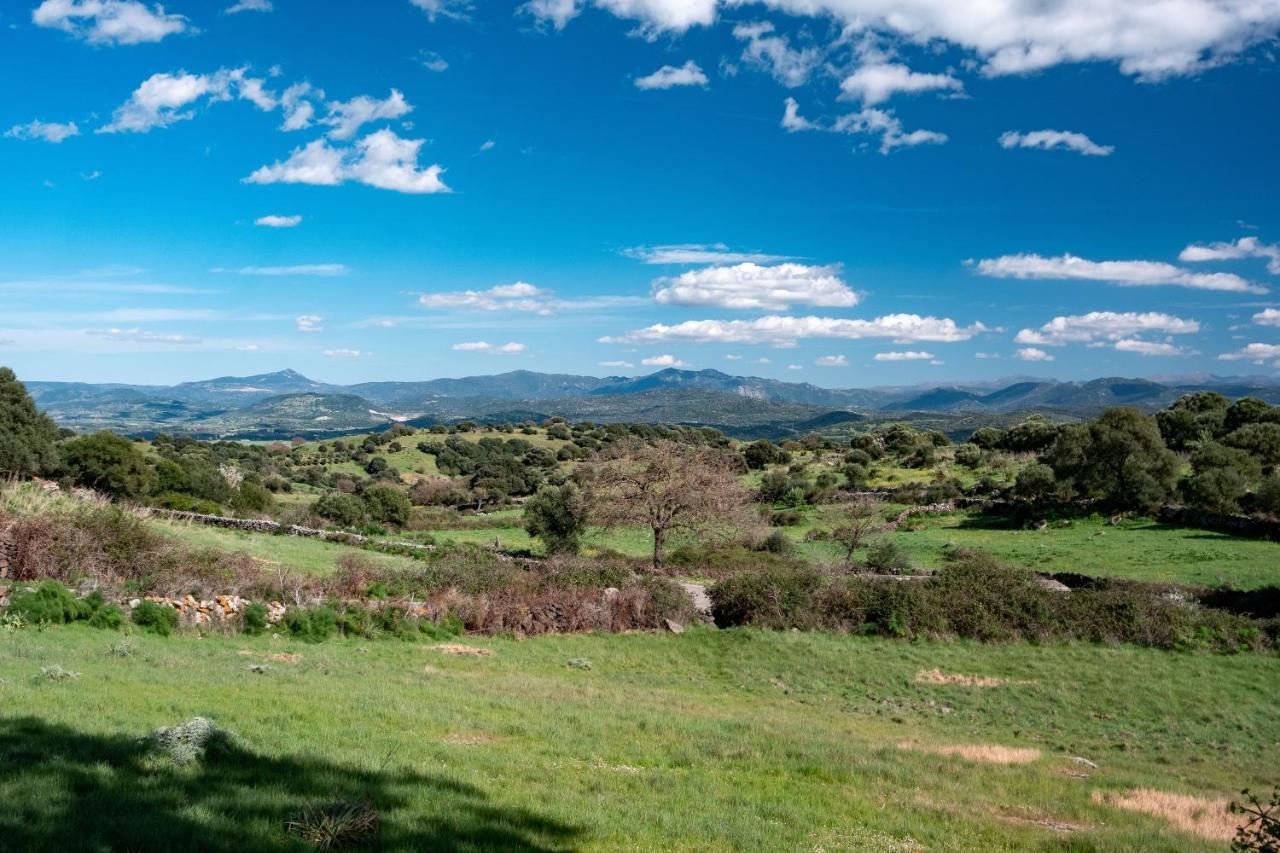 Binzas Betzas Agriturismo Sedilo Zewnętrze zdjęcie