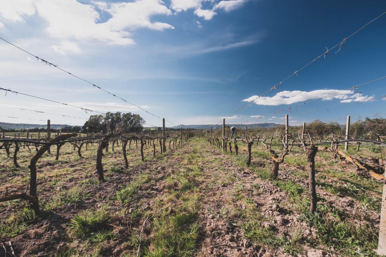 Binzas Betzas Agriturismo Sedilo Zewnętrze zdjęcie